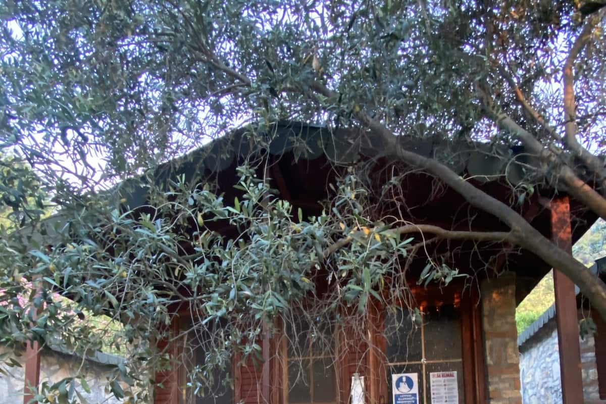 A rustic stone building with a wooden balcony and a stone wall.