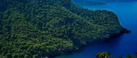 A coastal landscape with dense greenery and a clear blue sea.