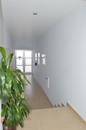 A hallway with a potted plant, a door at the end, and a light switch on the wall.