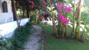 Jardí