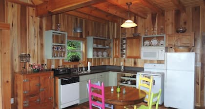 Balsam Mountain Cabin with waterfalls and a great year round view