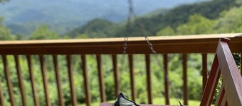 バルサムのキャビン 