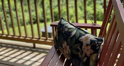 Balsam Mountain Cabin with waterfalls and a great year round view