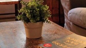 A room with a wooden barrel, a potted plant, and a book on a table.