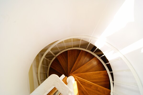 Una escalera de caracol con escalones de madera y barandilla blanca, que asciende.