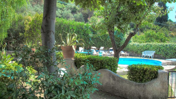 A pool area with lounge chairs and a swimming pool surrounded by greenery.