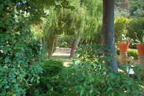 A garden with various plants and trees, a stone wall, and a pathway.