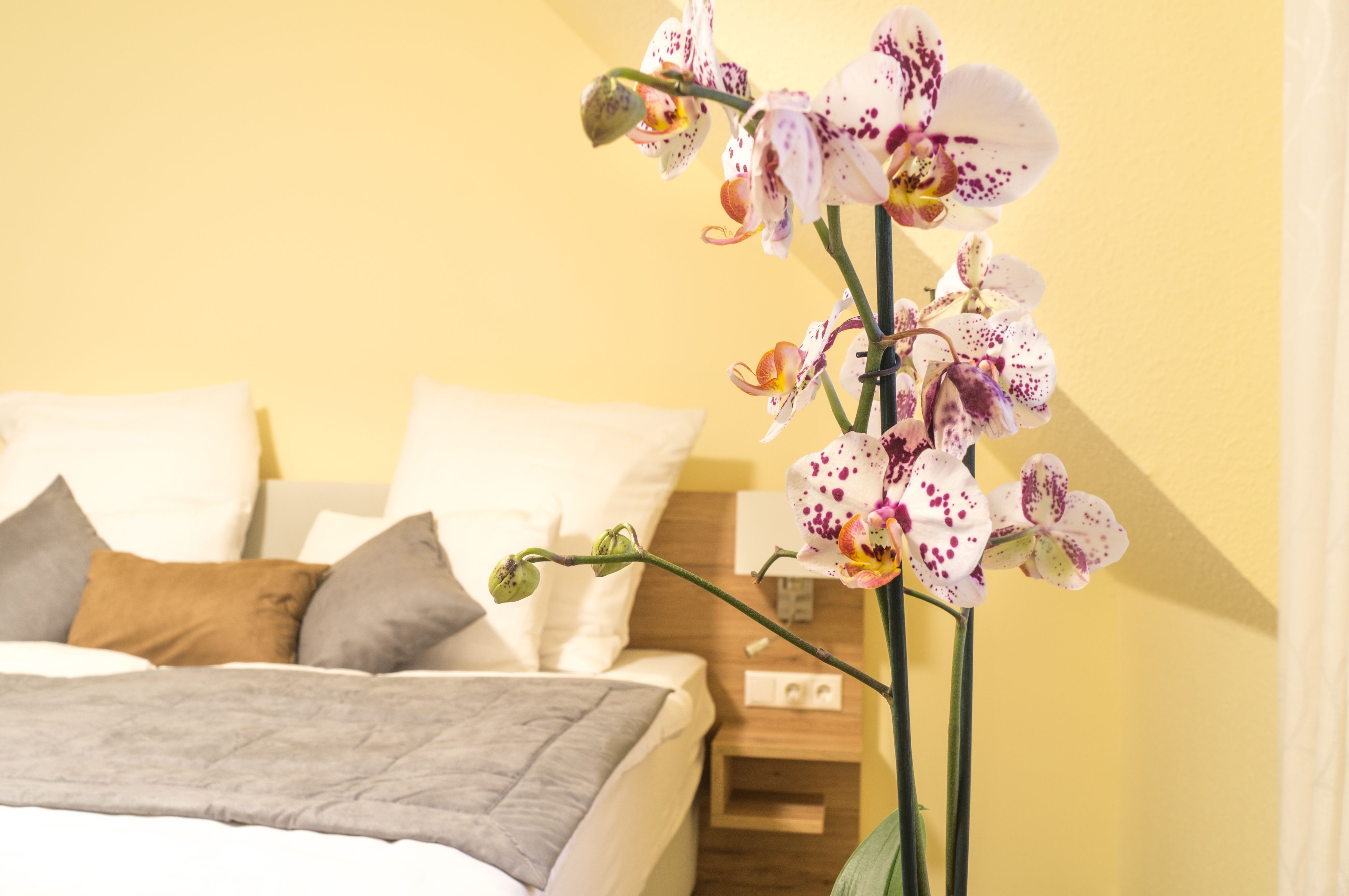 Ein Bett mit Kissen, ein Nachttisch und eine Vase mit Orchideen.