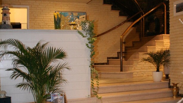 Un escalier avec une rampe en verre, un mur blanc et une plante décorative.