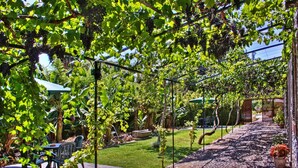 En hyggelig gårdhave med borde og stole, omgivet af frodig beplantning og vinstokke.