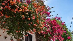 Um pátio de restaurante com mesas ao ar livre, uma placa com a palavra 'Patio' e um edifício com sacadas e floreiras.