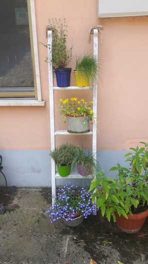 Détail de l’extérieur