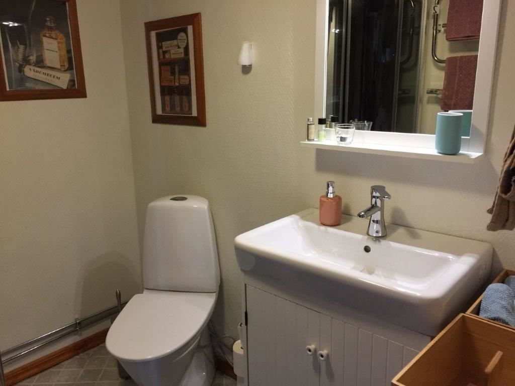 Dusch, duschhuvud med massagefunktion och gratis toalettartiklar