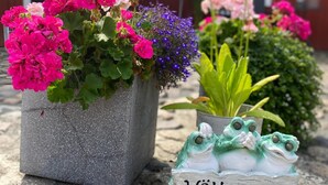 A garden with potted plants and a frog-shaped sign with the text "Välkommen". - Sanddala Bed & Breakfast (Everöd)