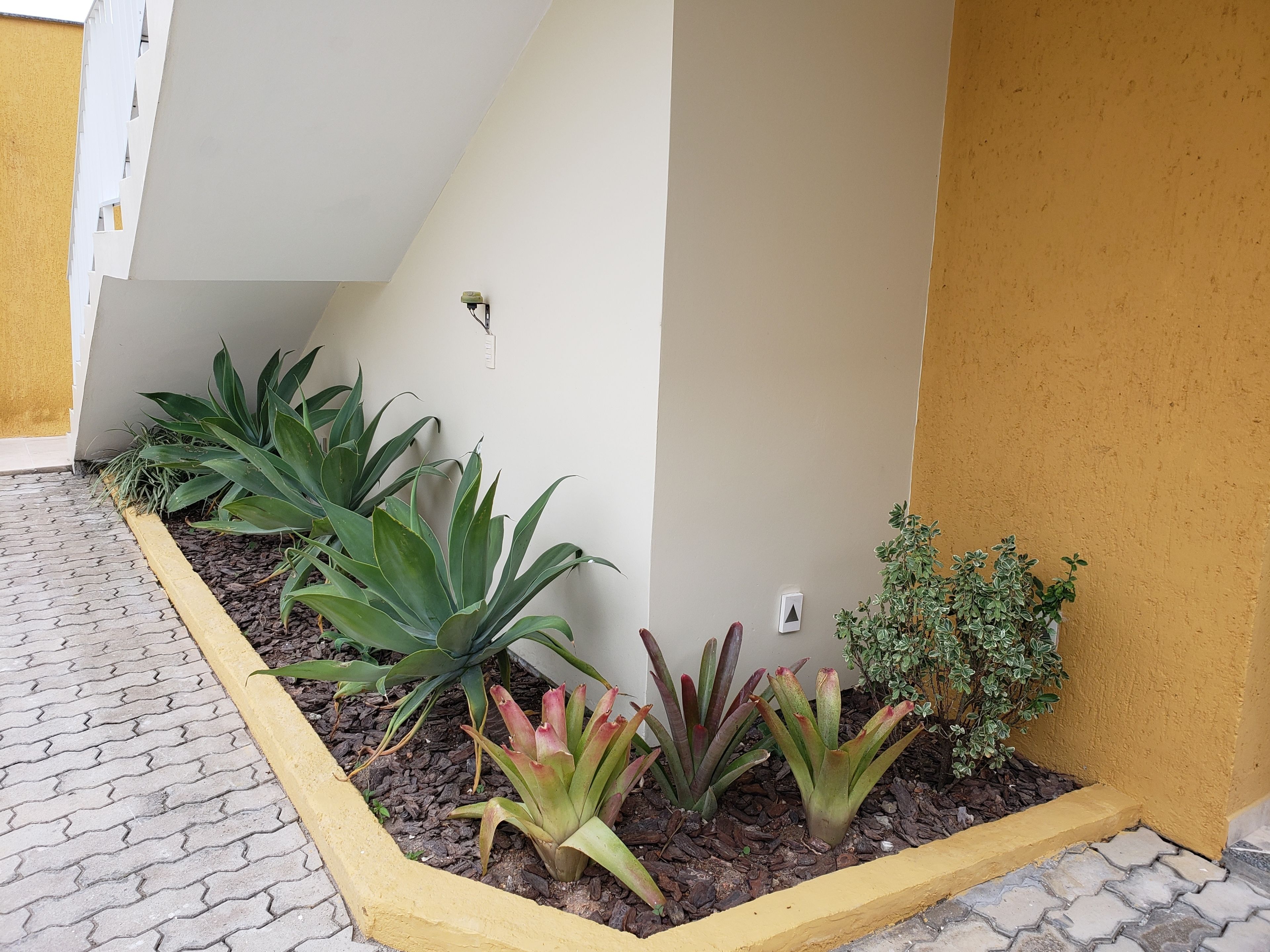 Jardín