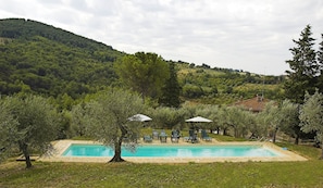 Seasonal outdoor pool - Agriturismo Policleto (Bagno a Ripoli)