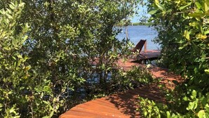 A wooden pathway leading to a wooden deck by a body of water, surrounded by dense foliage. - Hotel Rio Lagartos (Río Lagartos)