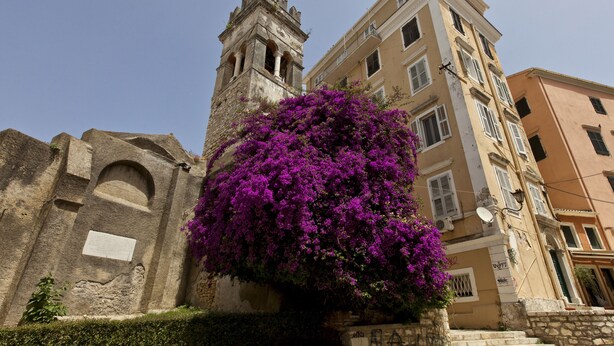 A historic building with a bell tower and a large purple flowering tree in front. - ANNUNZIATA URBAN SUITES by LOC HOSPITALITY (Corfu)