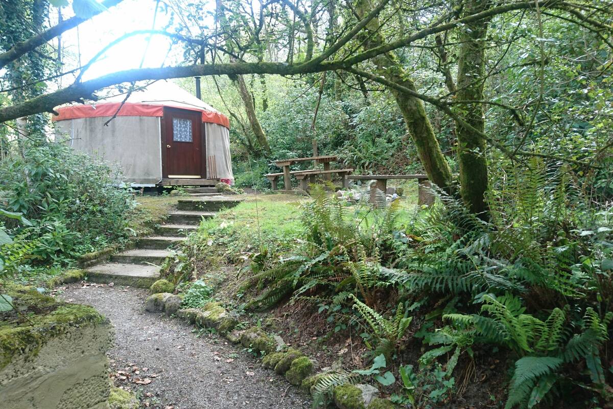 Une yourte avec un toit rouge, entourée d’une forêt dense et accessible par un escalier en pierre.