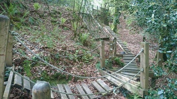 Un puente de cuerda de madera en un área boscosa con helechos y hojas secas.