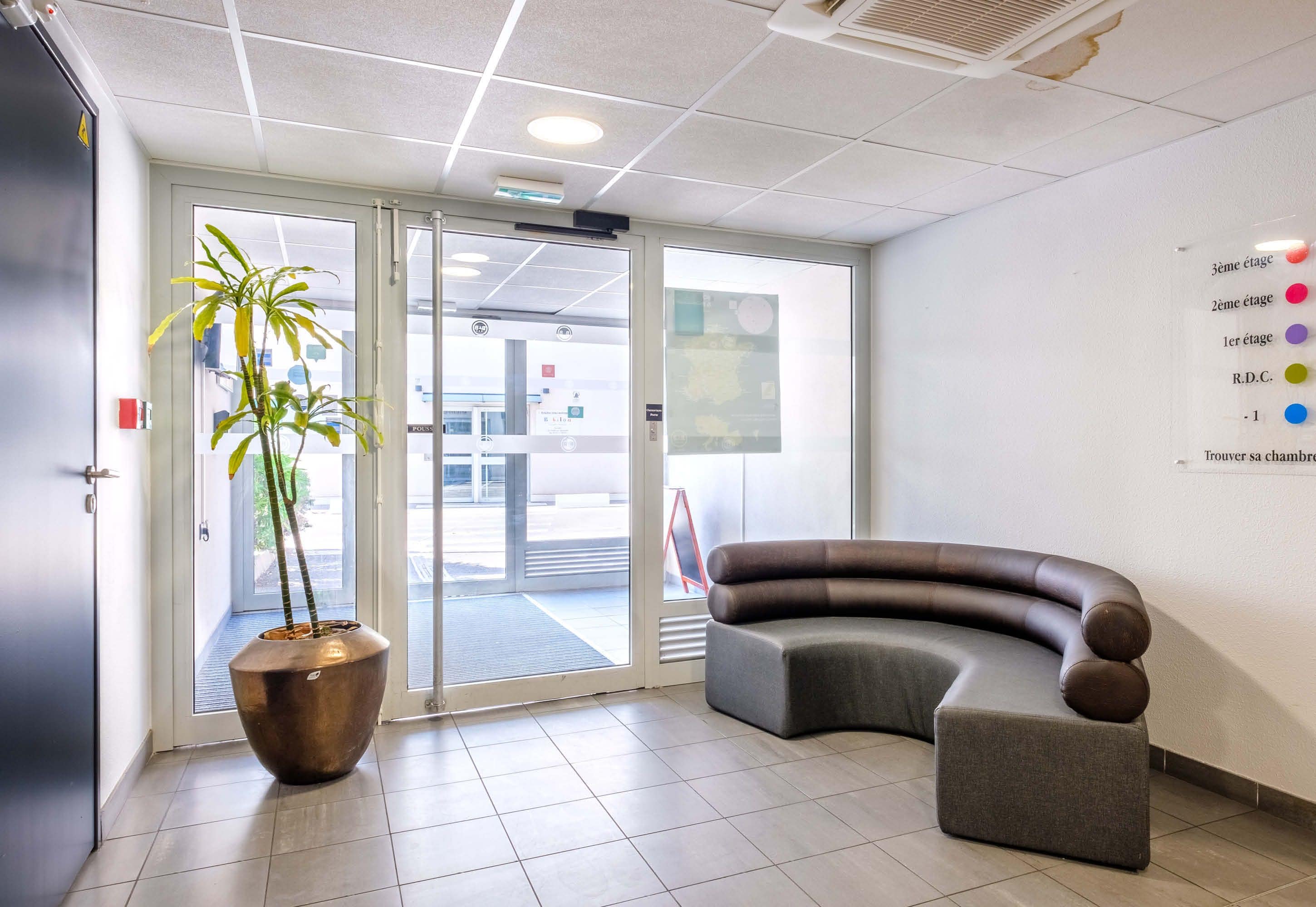 A modern reception area with a curved seating area, a large potted plant, and a glass door leading outside.