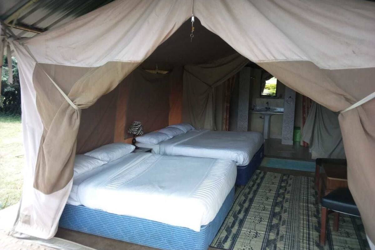 A tented accommodation with two beds, a small table, and a chair.