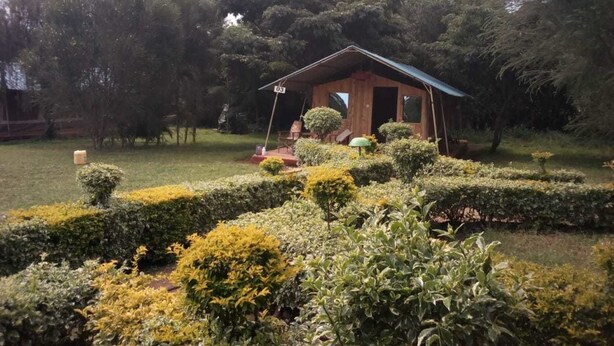 Una pequeña cabaña de madera con techo verde, rodeada de setos y árboles bien cuidados.