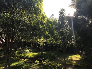 Pemandangan dari properti