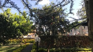 Un sendero en un jardín con un farol, rodeado de abundante vegetación y un muro de piedra.