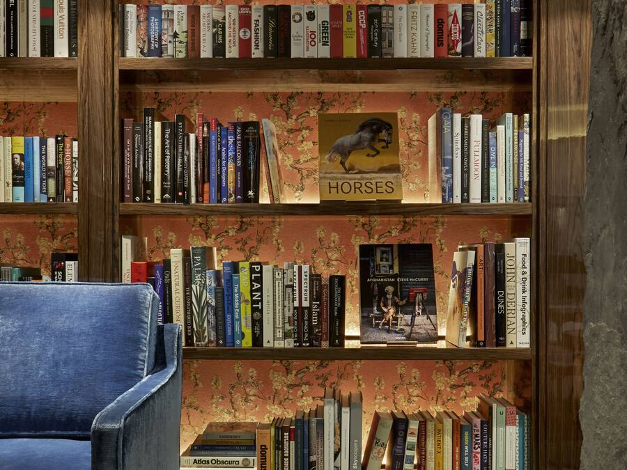 A bookshelf with a variety of books, a chair, and a decorative rug.