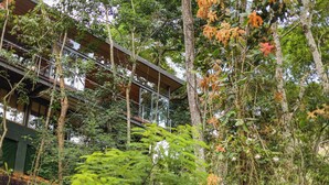 A modern building with a glass facade surrounded by dense foliage and trees.