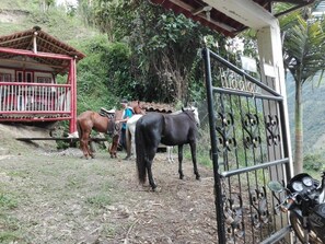 Property entrance