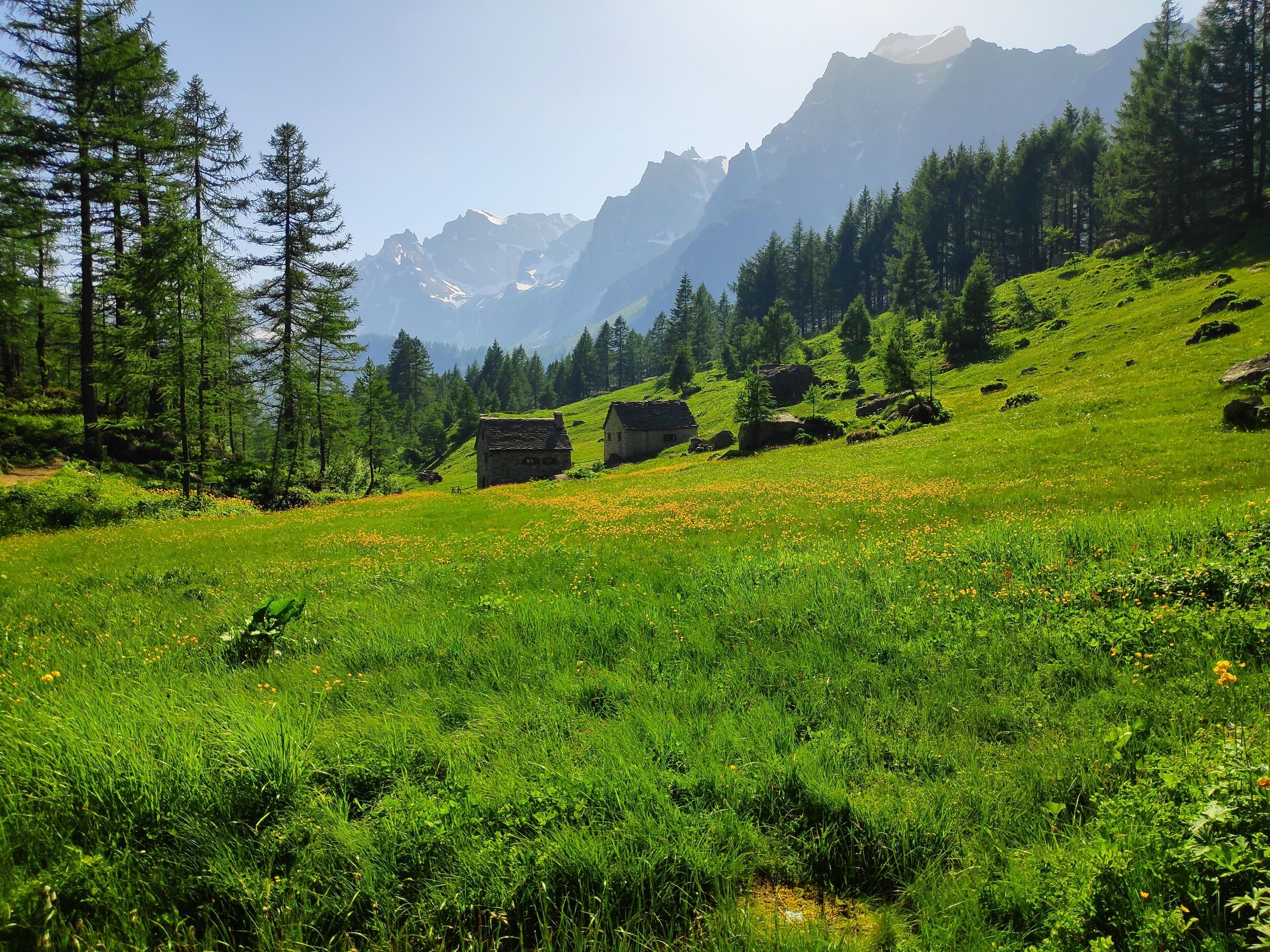 Un paysage montagneux avec une prairie verdoyante, une maison en pierre et une forêt dense.