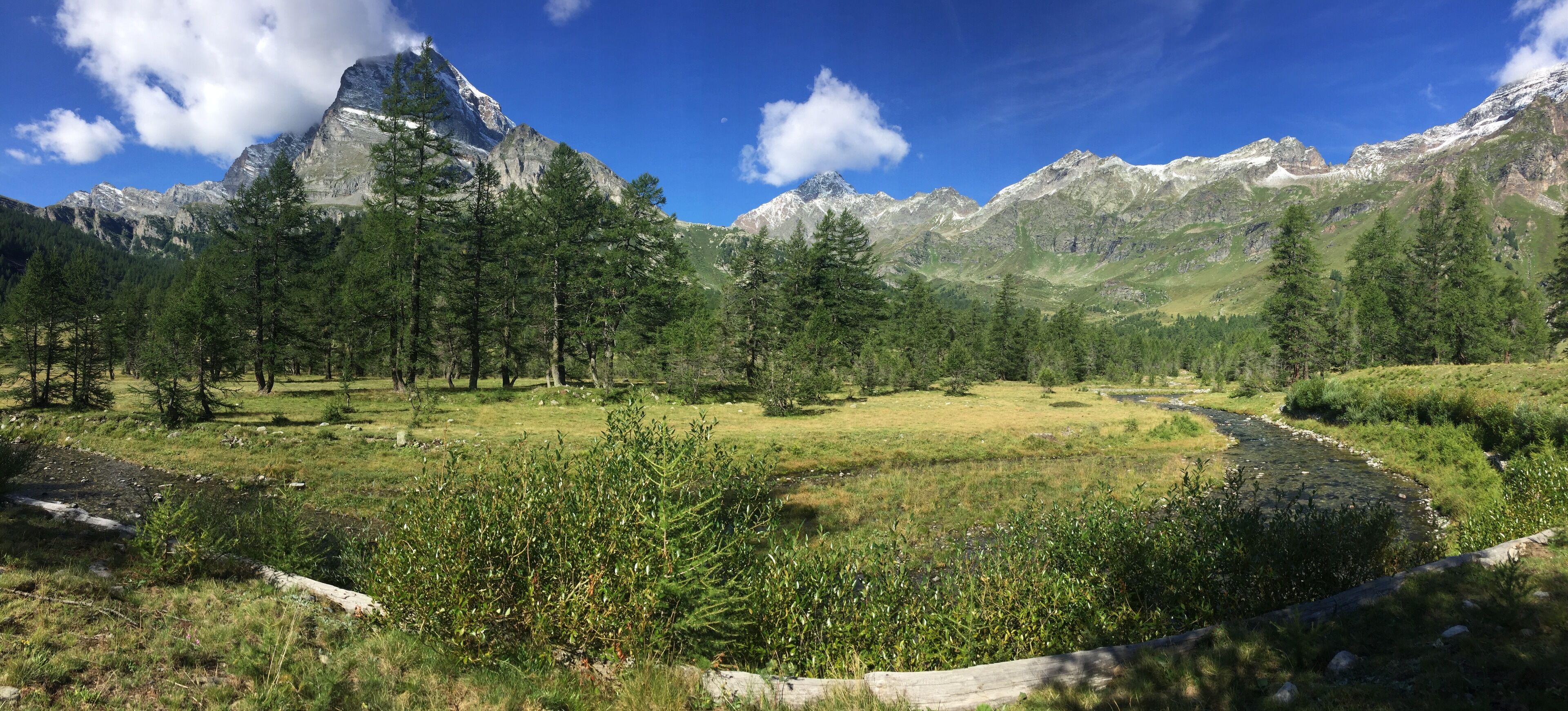 A mountainous landscape with a river, dense forest, and a prominent peak.
