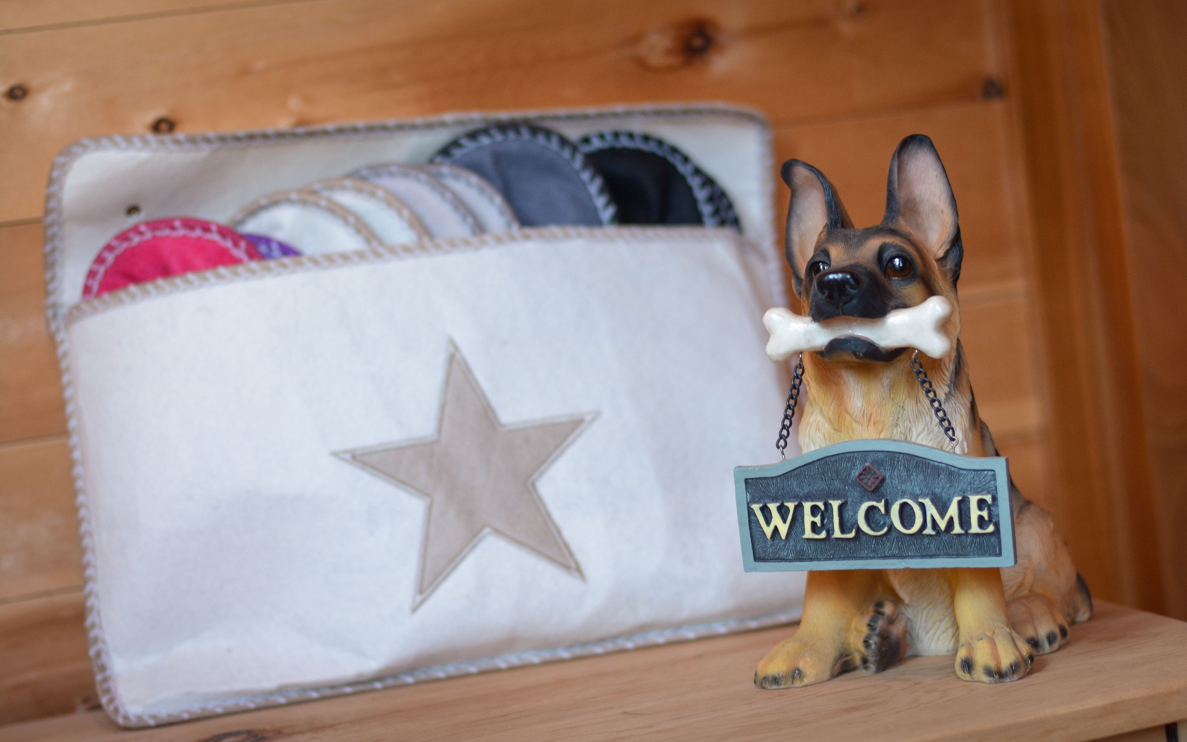 Une figurine de chien tenant une pancarte sur laquelle est écrit « BIENVENUE », à côté d’une boîte de rangement ornée d’un emblème en forme d’étoile.