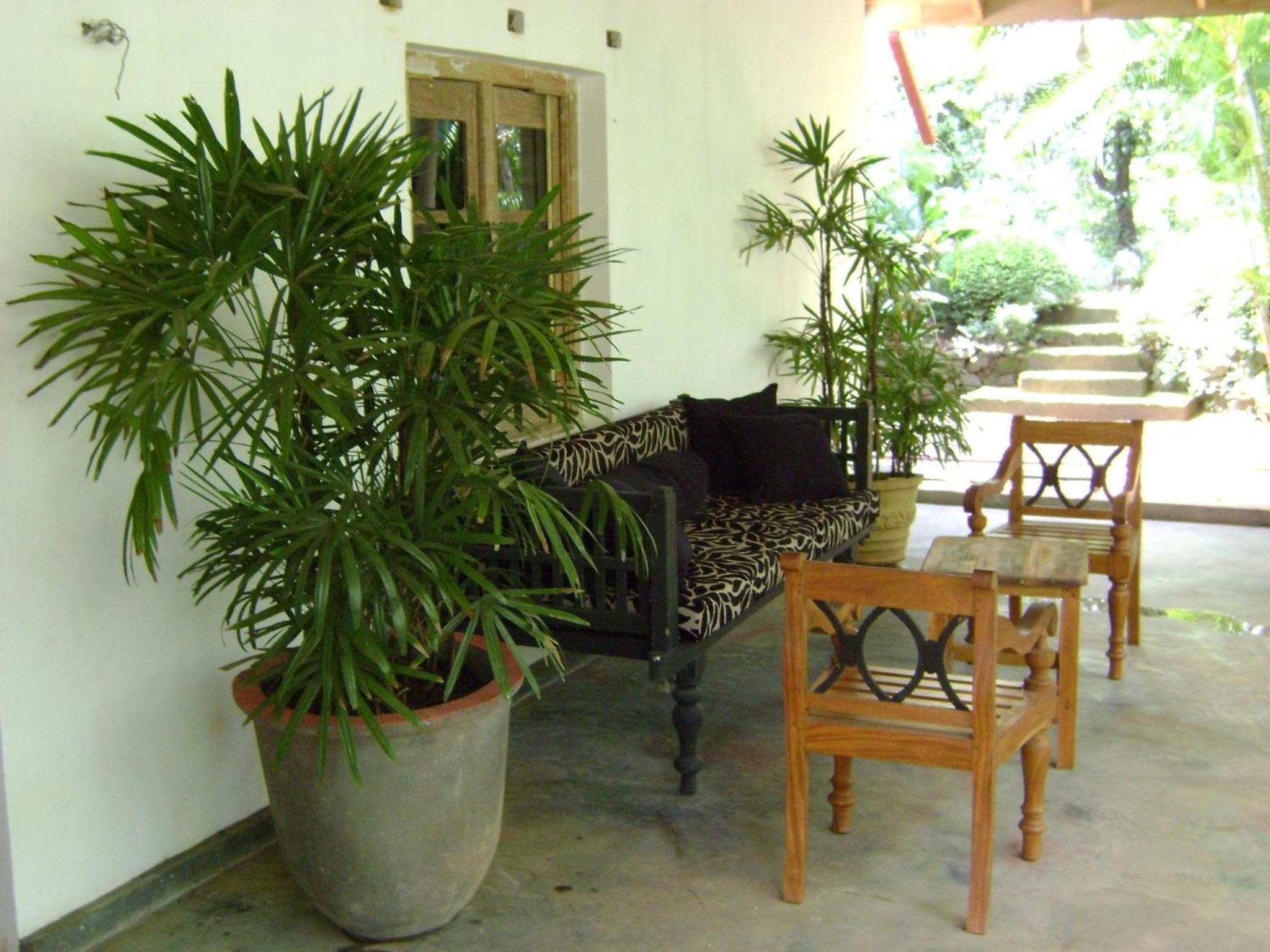 A covered outdoor seating area with a sofa and chairs, surrounded by large potted plants.
