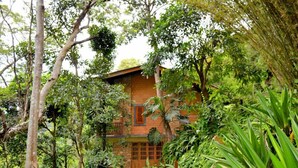 A rustic building surrounded by dense greenery, with a stone facade and wooden window frames. - Landa Holiday House (Imbulpe)