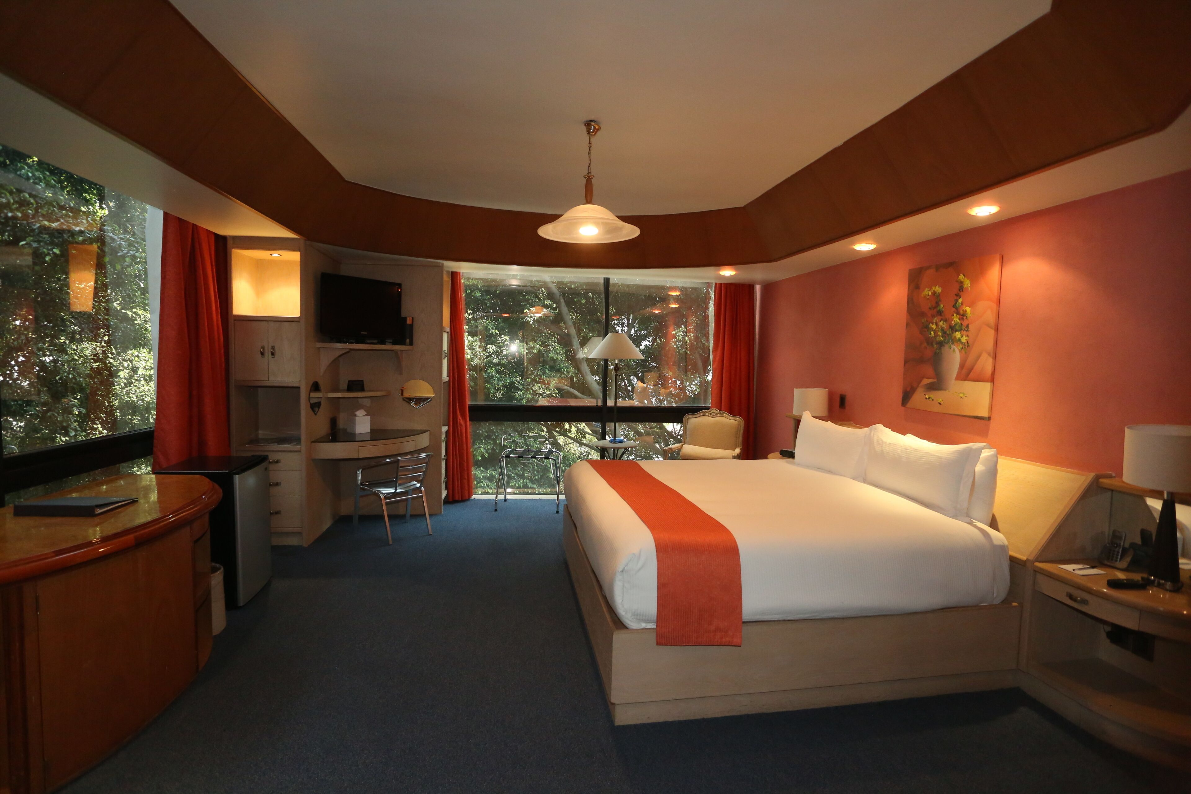 A hotel room with a bed, desk, chair, TV, and a view of trees through a large window.
