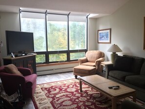 Televisión y chimenea 