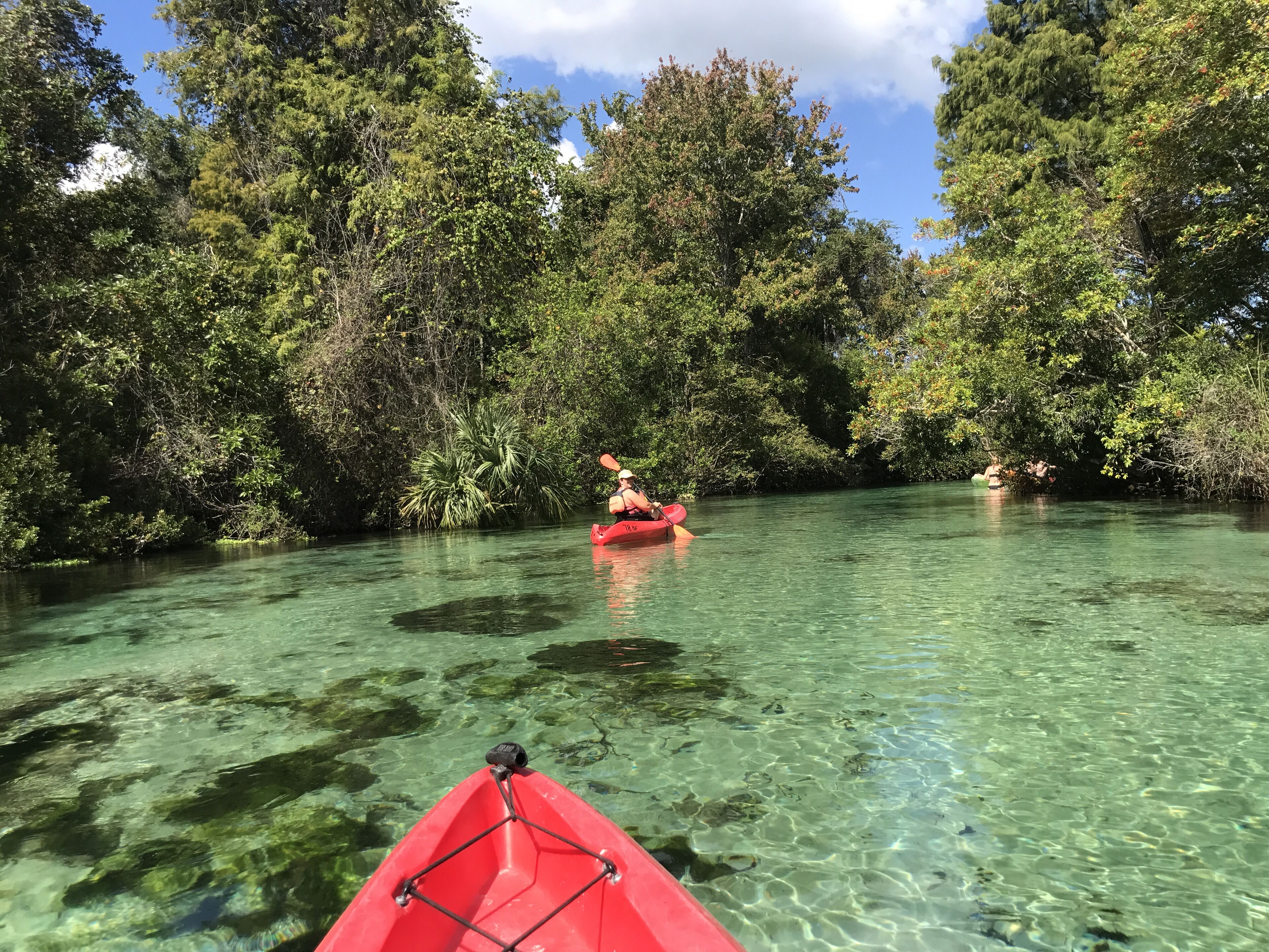 Top 10 Monthly Rentals In Hudson, Florida Updated 2024 Trip101