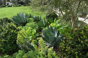 Property grounds - Lovely, Large 1 Br Apt in Sunny Central Marin! On 2 acres of gardens & woodlands (Kentfield)