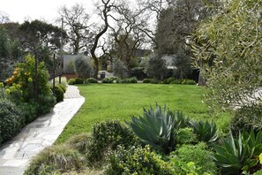 Property grounds - Lovely, Large 1 Br Apt in Sunny Central Marin! On 2 acres of gardens & woodlands (Kentfield)