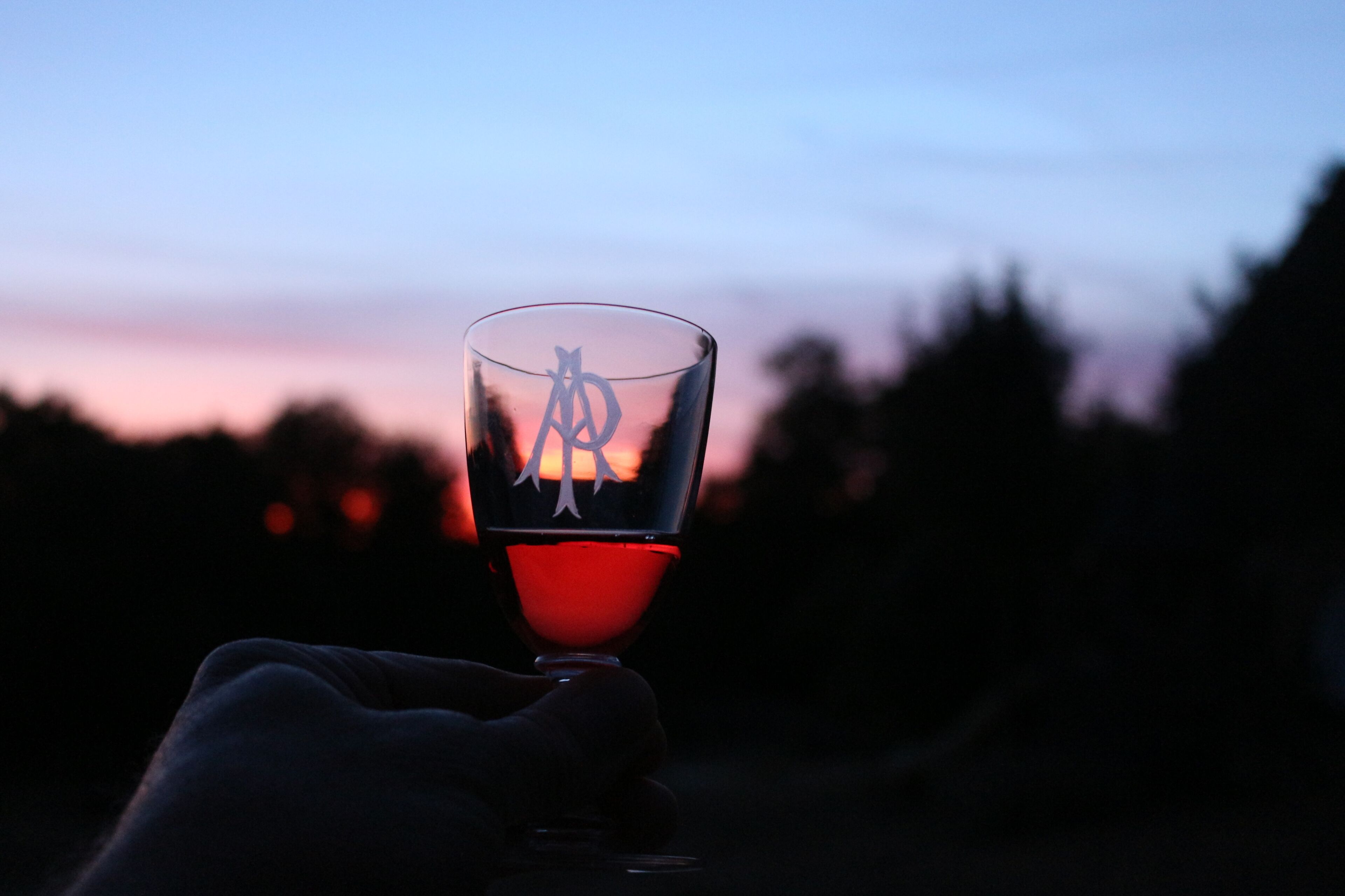 Een hand die een glas vasthoudt, op de achtergrond een zonsondergang.