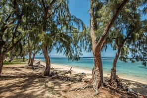 A beach with trees and clear blue water.