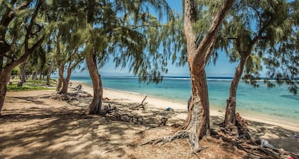 The Appart Tropiclub - well-being 2 steps from the Lagoon