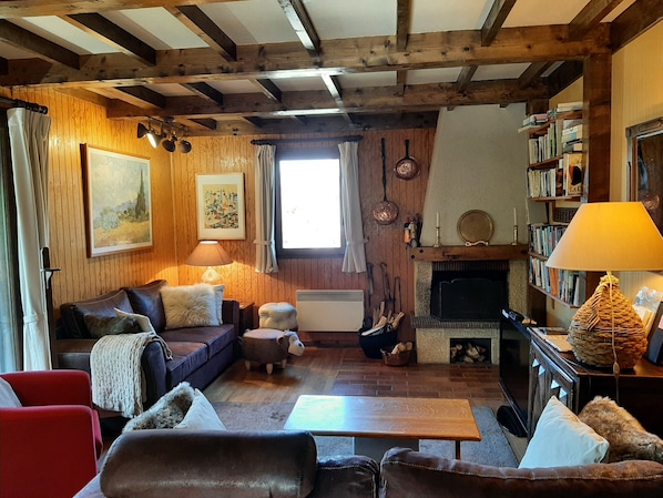 Smart TV, fireplace, books