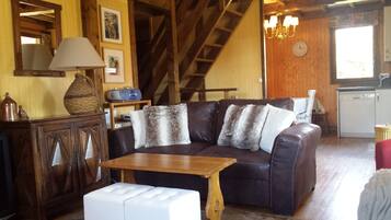 TV connectée, cheminée, livres