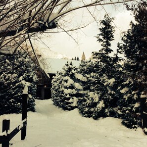 Terrain de l’hébergement 