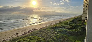 Plage, chaises longues, serviettes de plage