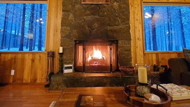 A cozy lodge interior with a stone fireplace, wooden walls, and large windows offering a view of the forest.